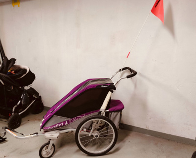 Chariot cougar 1 rattaat