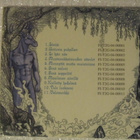 Ignatius • Sinä seppelöit CD - pikkukuva 2