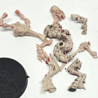 WH40K - 2kpl Tyranid Warrior (Rogue Trader) [A24] - pikkukuva 4