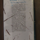 Mark Twain: Mississippivirralla - pikkukuva 2