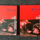 Blind Beast DVD | HK | 1969 - pikkukuva 1