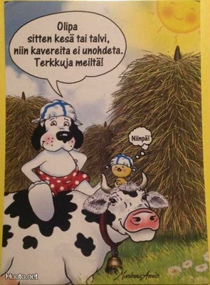kortti ** Ansio Marleena Koira hyvällä tuulella - erilaisia