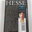 Hermann Hesse : Gertrud : romaani - pikkukuva 2