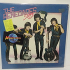 THE RENEGADES STORY EX/EX SUOMI 1978 1. PAINOS LP - pikkukuva 1