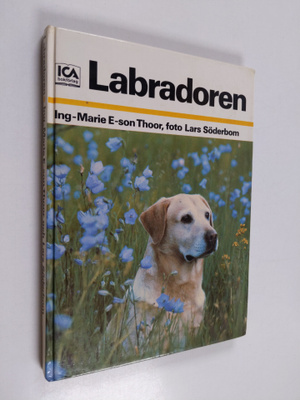 Ing-Marie E-Son Thoor : Labradoren