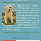 Lucy Daniels: Labrador on the Lawn - pikkukuva 2