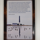 Viron linnut : havainnot 1990-2010 - pikkukuva 2