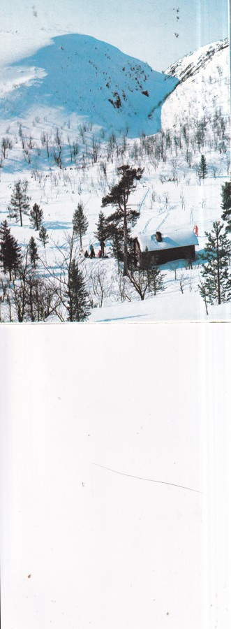 Rumakuru,  Lappi, foto Teuvo Kanerva  b643