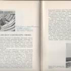 Aalberg: Tytärsaari, Tytärsaaren kal.seura 1963, sid,1.p, K3 - pikkukuva 2