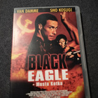 Black eagle -musta kotka - pikkukuva 1
