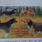 Aihekokoelma Kennel toiminta 17.3.1989 - pikkukuva 2