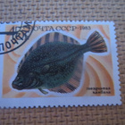 CCCP 1983: kaloja - pikkukuva 5