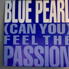 BLUE PEARL  ::  FEEL THE PASSION  ::  VINYYLI  7"      1991 - pikkukuva 1