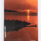 Ted Smart : Scandinavia : a picture book to remember her by - pikkukuva 2
