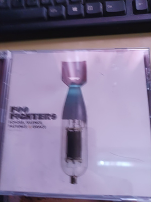 Foo fighters levyt