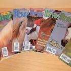 Hevoshullu lehti 1999-2000 (valikoima) - pikkukuva 1