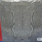 Paysage D'Hiver – Geister M-/M- 2LP - pikkukuva 2