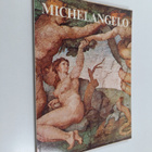 Froukje Hoekstra : Michelangelo - pikkukuva 1