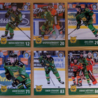 2024-25 Blueline Series 1 Ilves Team Set 12 korttia (25-36) - pikkukuva 2