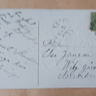 Kanamamma, tipuja ja kukkia, pajunkissoja, p. 1914 - pikkukuva 2