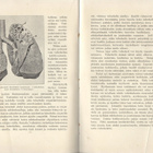 Robert Elmgren: Keuhkotauti 1913 - pikkukuva 3