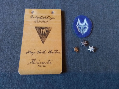 Partiotytön päiväkirja vuosi 1928-1929
