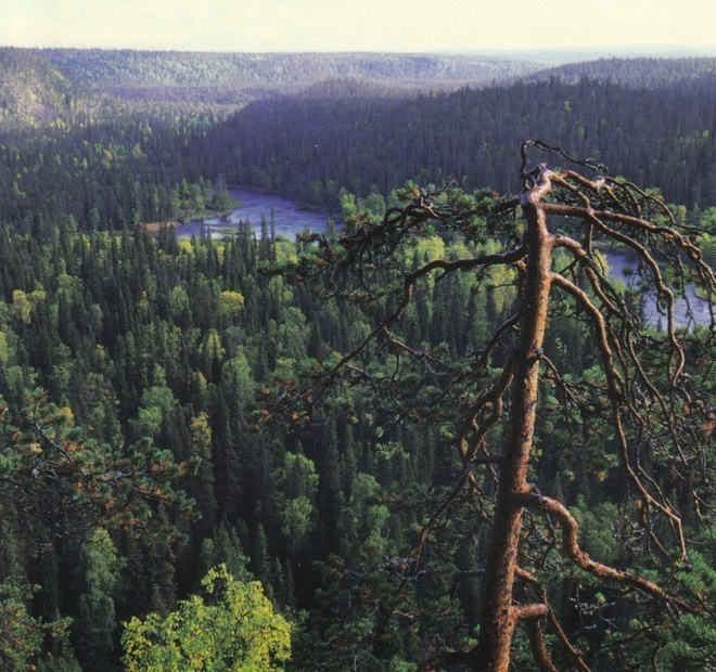 Kuusamo, Korouoma (neliökortti)
