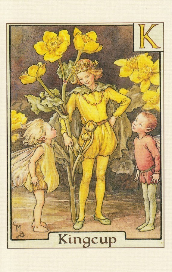 Cicely Mary Barker: Rentukan keiju, kirjain K