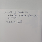 Jukka Saarinen : Runolaulun poetiikka : säe, syntaksi ja ... - pikkukuva 3