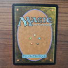 Magic the Gathering Vision Skeins - pikkukuva 2