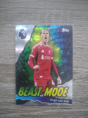 Beast mode Virgil van Dijk