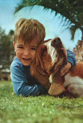 BASSET POSTIKORTTI