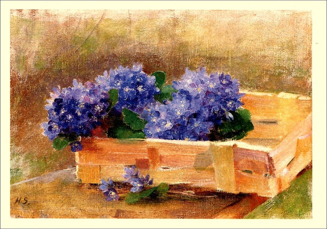 Helene Schjerfbeck, Sinivuokkoja pärekorissa