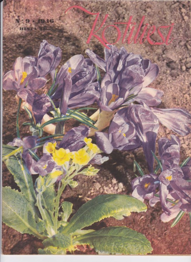 KOTILIESI  9 / 1946