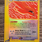 Pidgeot rare reverse holo! - pikkukuva 1