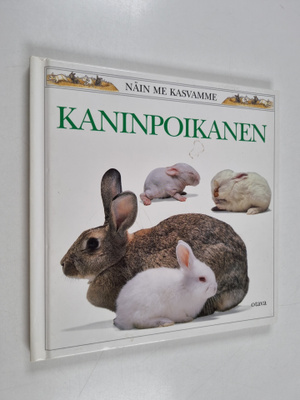 Barrie Watts : Kaninpoikanen