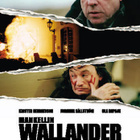 WALLANDER - KYLÄHULLU	(13 343)	k	-FI-	DVD			ruotsi 2005, - pikkukuva 2