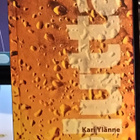 Kari Ylänne - Olutta - Karisto sid 2008 - pikkukuva 1
