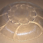 LAUTANEN LASI ASTIA ARCOROC PIPARI LAUTANEN 23 X 2 CM LASIA - pikkukuva 3