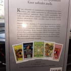 Kuun salaisuudet kortit + kirja ( SIS POSTIKULU) - pikkukuva 2