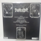 MORKETIDA - PANPHAGE MYSTICISM M-/M SUOMI 2018 LP + POSTER - pikkukuva 2