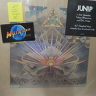 JUNIP- FIELDS UUSI 1ST PRESS 2010 2 LP - pikkukuva 1