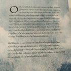 Hal Duncan: Vellum sekä Muste - pikkukuva 3