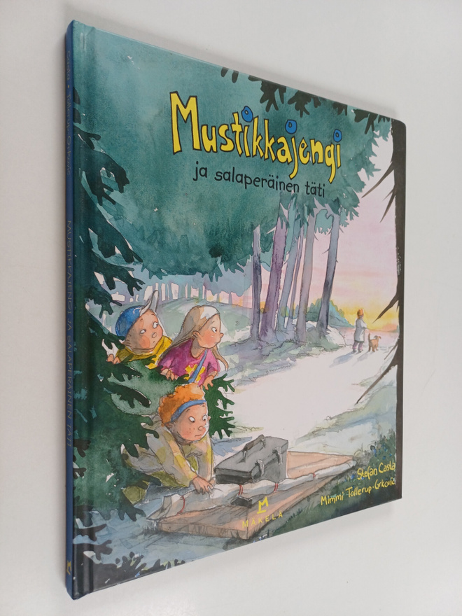Stefan Casta : Mustikkajengi ja salaperäinen täti