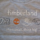 TIMBERLAND paita 18M, harmaa CAMPING - pikkukuva 2