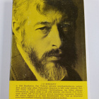 J. P. Donleavy : Holtiton mies - pikkukuva 2