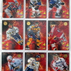 Fire on Ice 1994-95 Sisu kortteja, Katso - pikkukuva 2