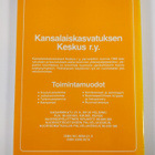 Katoaako lapsuus? - pikkukuva 2