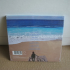 Idiomatic : New terrain cd(avaamaton) - pikkukuva 2