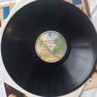 LP FRANK ZAPPA - ZOOT ALLURES - pikkukuva 2